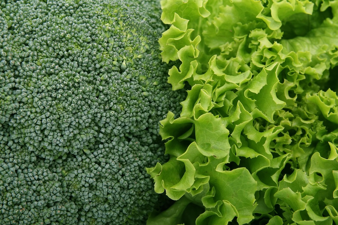 Recetas con brócoli que te harán cambiar de opinión sobre él