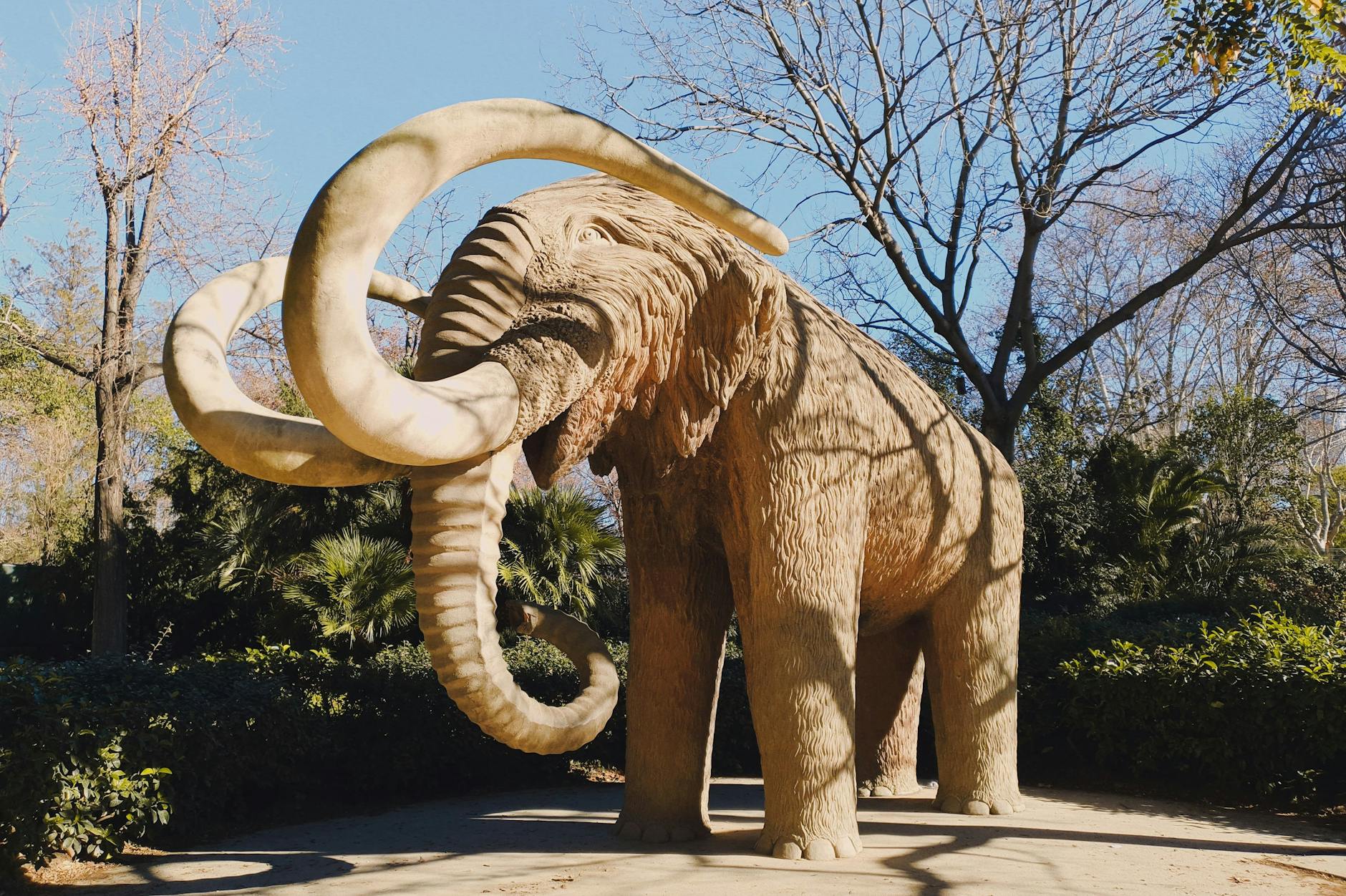 Evolución